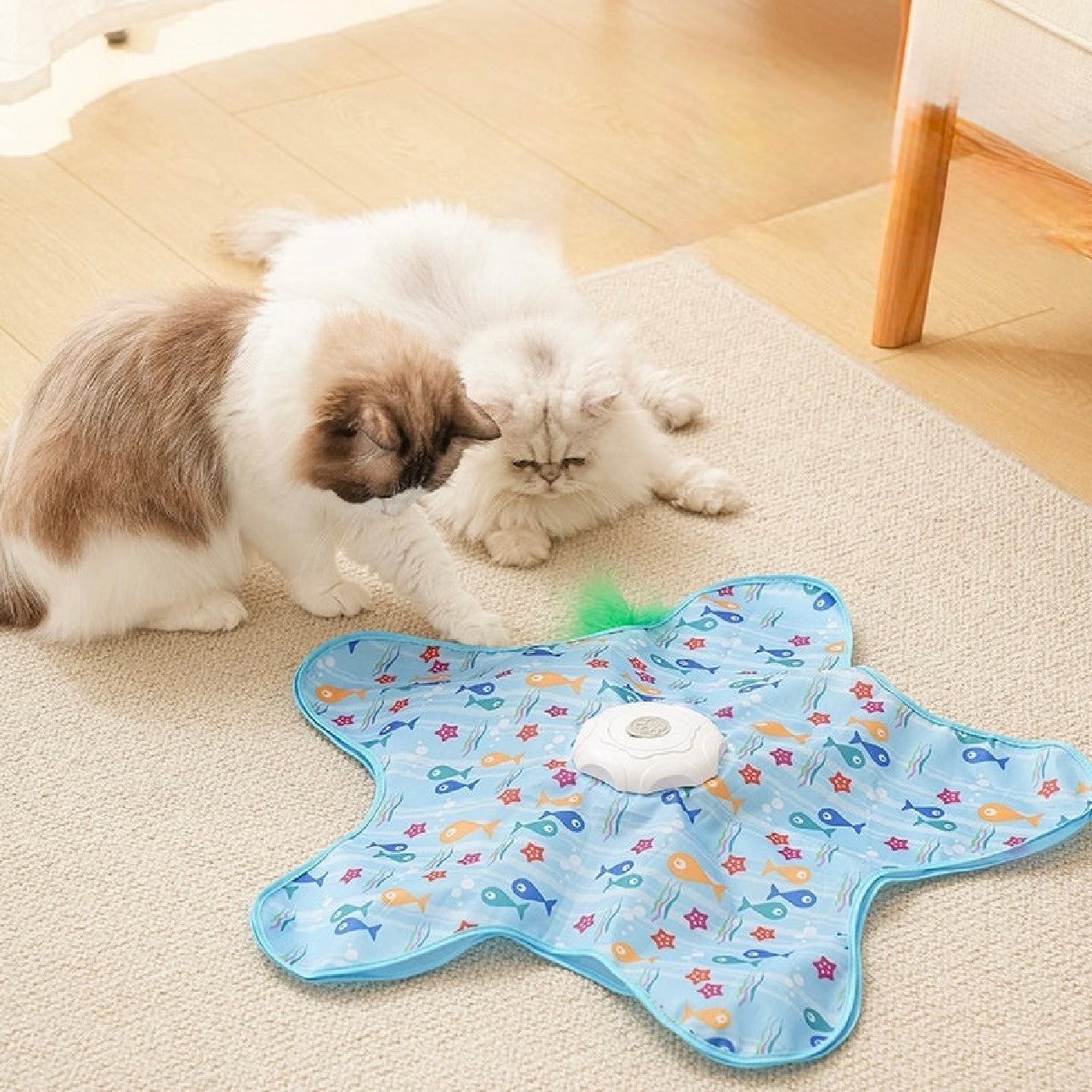 Jouet interactif caché pour chat – Anti-ennui automatique