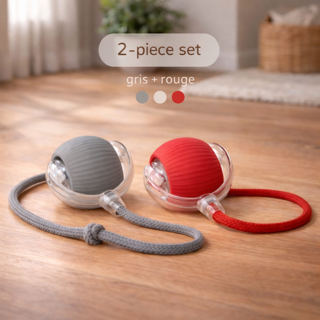 Balle interactive pour chat et chien" – Anti-ennui automatique