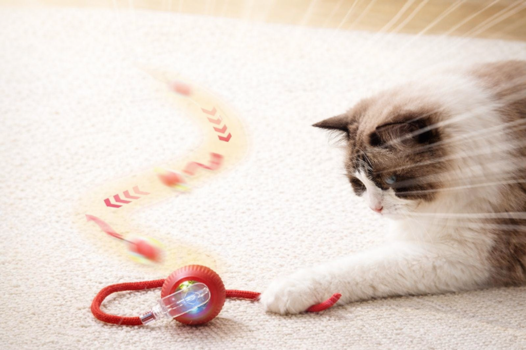 Balle interactive pour chat et chien" – Anti-ennui automatique